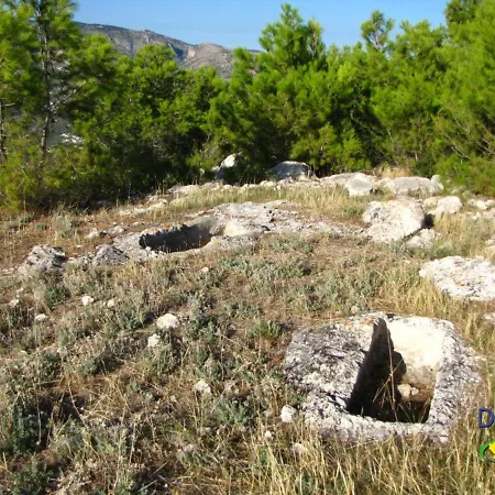 Casa * Mattinata