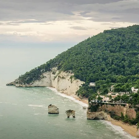 Casa マッティナータ