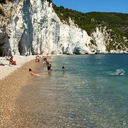 Casa * マッティナータ